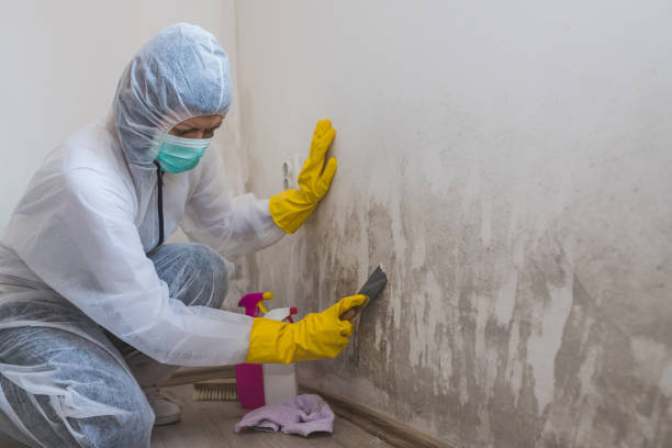 Best Air Quality Testing for Mold Spores  in Cashion, OK