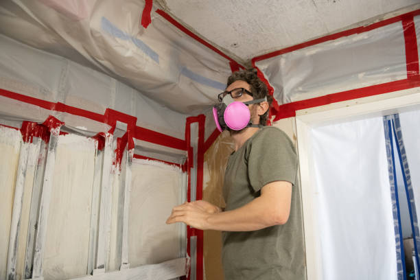 Mold Documentation for Insurance Claims in Cashion, OK