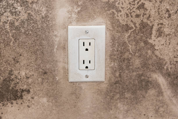 Reliable Cashion, OK Mold Removal Solutions